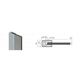 Freistehende Seitenwand 10 mm Kompakt, Breite 80 cm, Hhe 201 cm, Profile silber glnzend, schwarzer Kern, Dekor beidseitig Grafit, Oberflche Feinstruktur